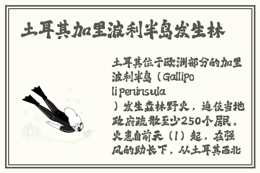 卡一卡二卡三精品久久